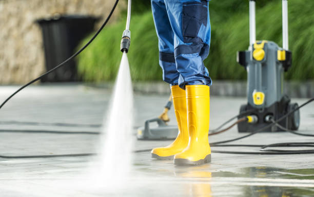 Best Affordable Power Washing  in Carrollton, IL