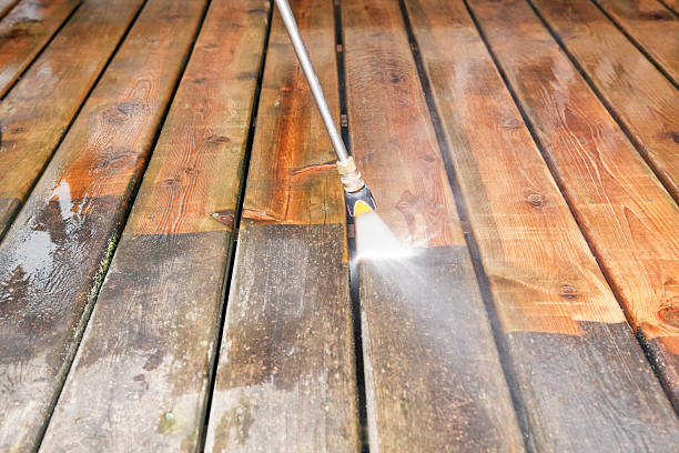 Best Fence Pressure Washing  in Carrollton, IL