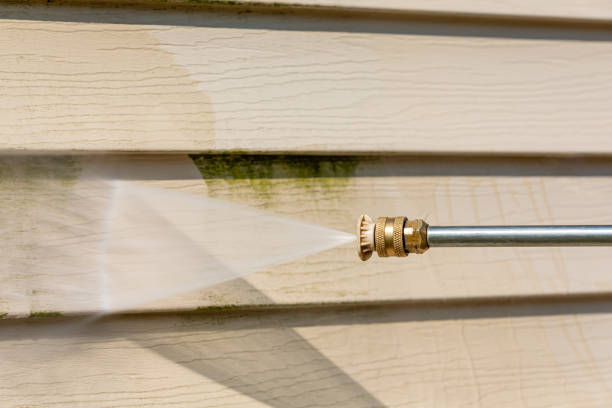 Best House Pressure Washing  in Carrollton, IL